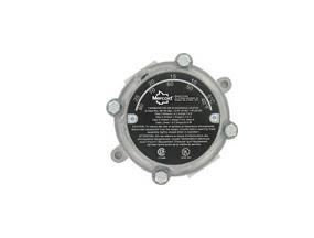 Explosion-Proof, Heavy-Duty Thermostat Model 862E